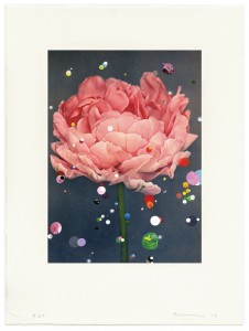© Sebastiaan Bremer 2015, "Bloemen: Dubbele Late Tulp," archival inkjet print, hand painting, and Mylar confetti collage, 12" x 8.5" image, 18" x 13.5" sheet, edition of 6. Not available.