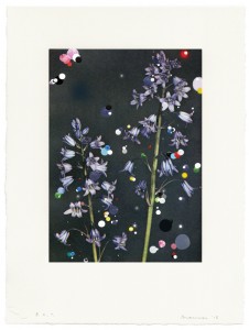 © Sebastiaan Bremer 2015, "Bloemen: Scilia Campanulata," archival inkjet print, hand painting, and Mylar confetti collage, 12" x 8.5" image, 18" x 13.5" sheet, edition of 6. Price: $2,200