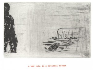 © Amy Sillman & Jef Scharf, 1999, "Funny-Guy, Junior: a bad trip in a national forest".  Portfolio of 12 intaglio prints with screenprinted text,  11" x 9" each sheet, 11.5" x 9.5" x .5" portfolio.