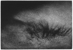 © Lynne Yamamoto, 2000, "Eyes, Dark."  Portfolio of 16 photogravures and 2 screenprinted text pages, in a hand-made box, 3.5" x 5" each image, 9" x  9" each sheet, 9.75" x 9.75" x 1.25" total box.